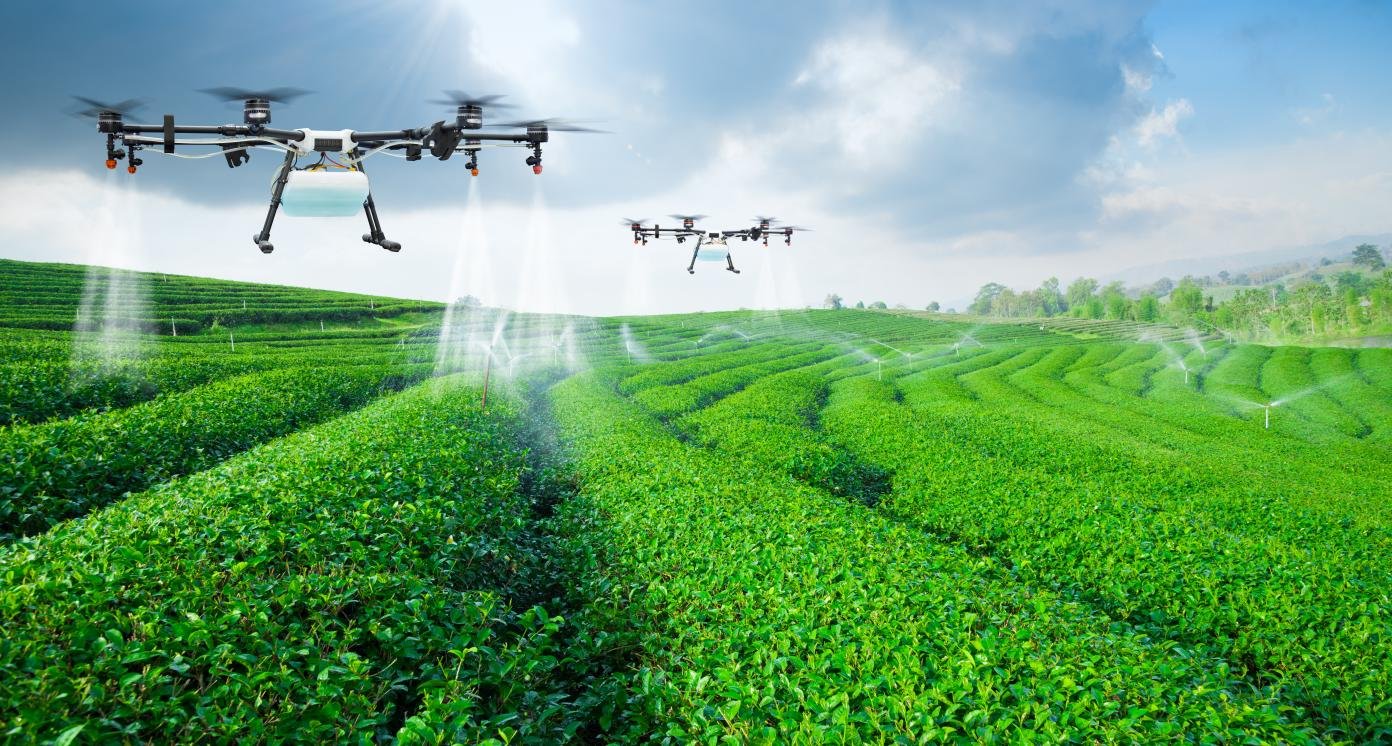 Agriculture and Agribusiness